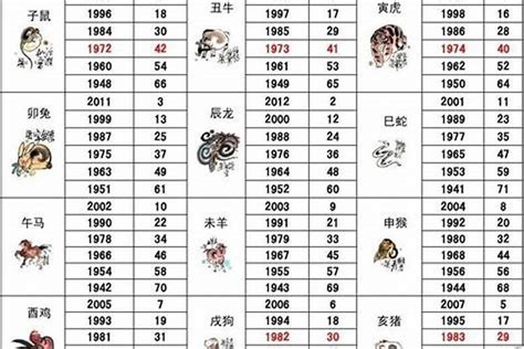 1996年属|1996年是属什么属相 96年是生肖鼠